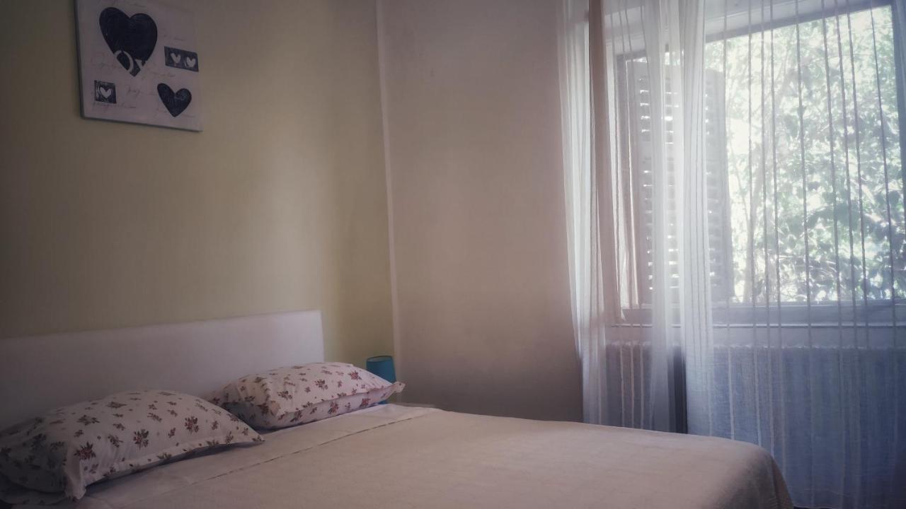 Apartmani Leon 비오그라드나모루 외부 사진